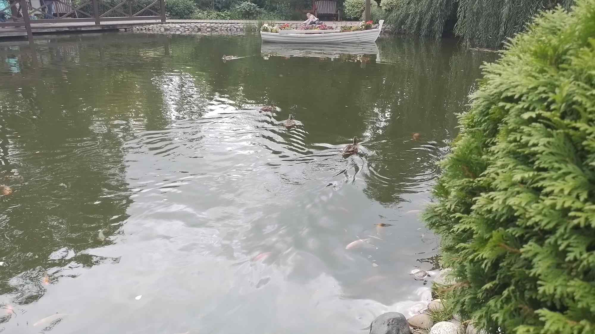 20240828_141900.jpg