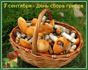 afb23364922e6c324c946f387d8a24bb.jpg