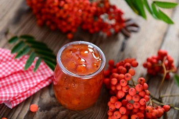 ash-jam-e1604495257444.jpg