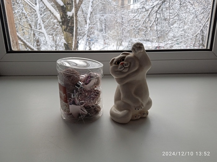 IMG_20241210_135226.jpg
