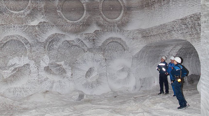 scale_1200.jpg