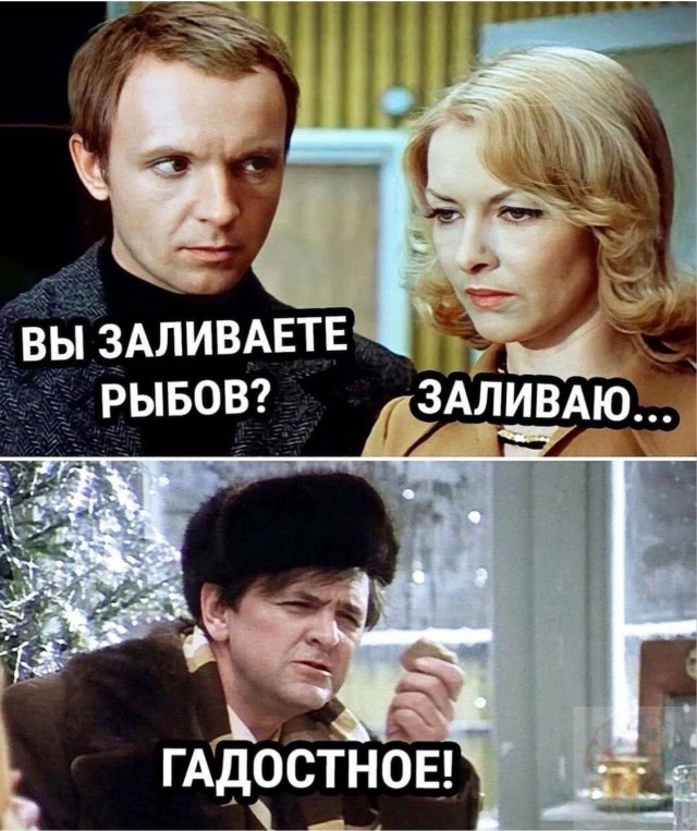 19706423.jpg