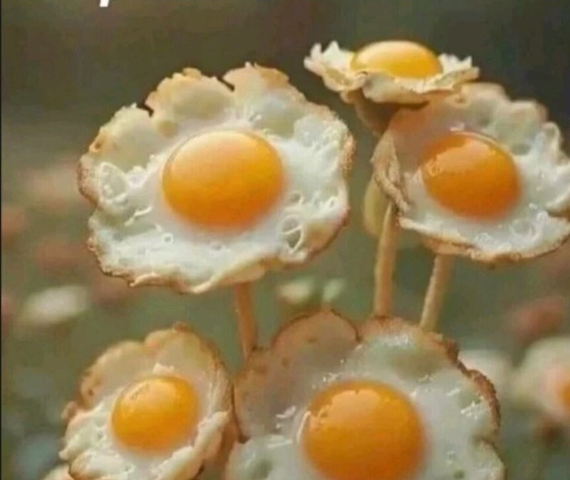11zon_cropped.jpeg