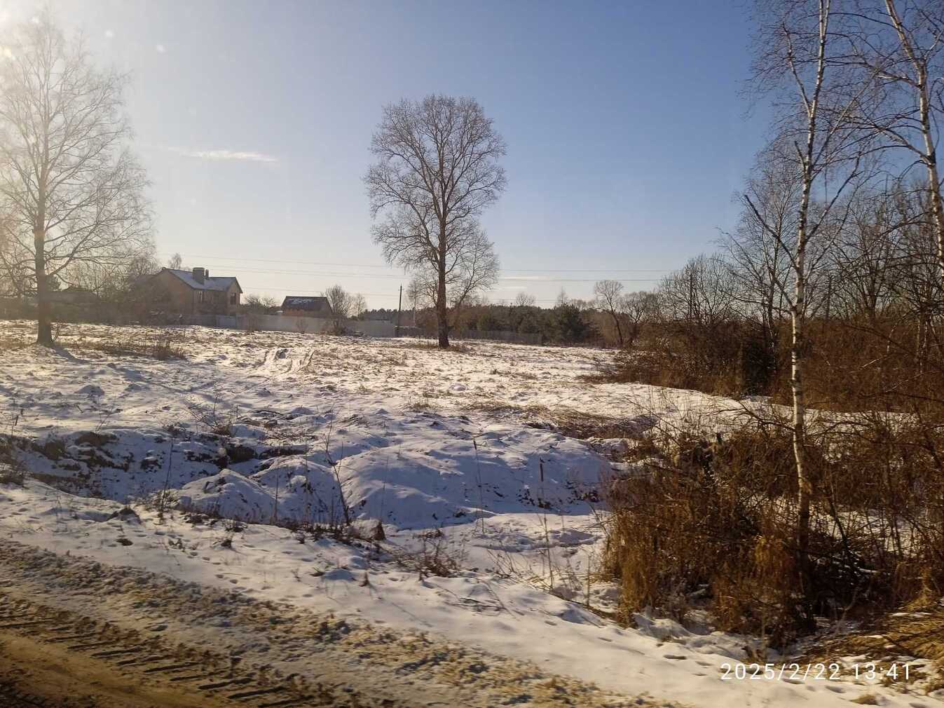 IMG_20250222_134100_1.jpg