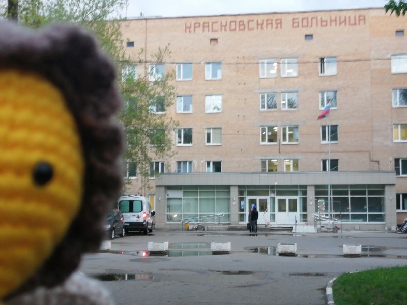 137.jpg