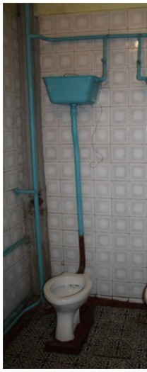 страсти по унитазу.jpg