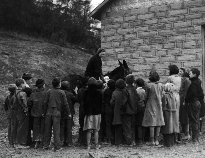 mounted_librarian_6.jpg