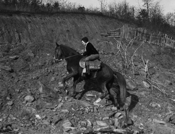 mounted_librarian_10.jpg