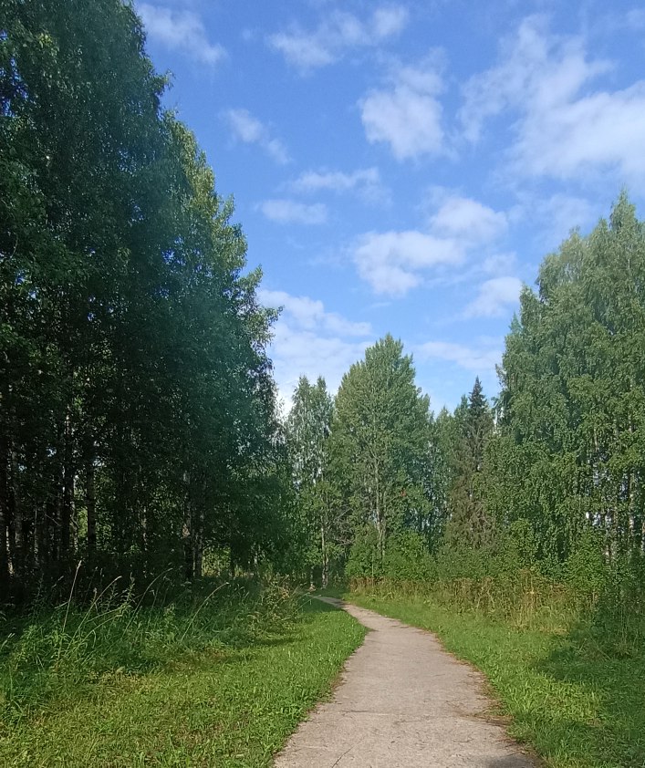 дорожка.jpg