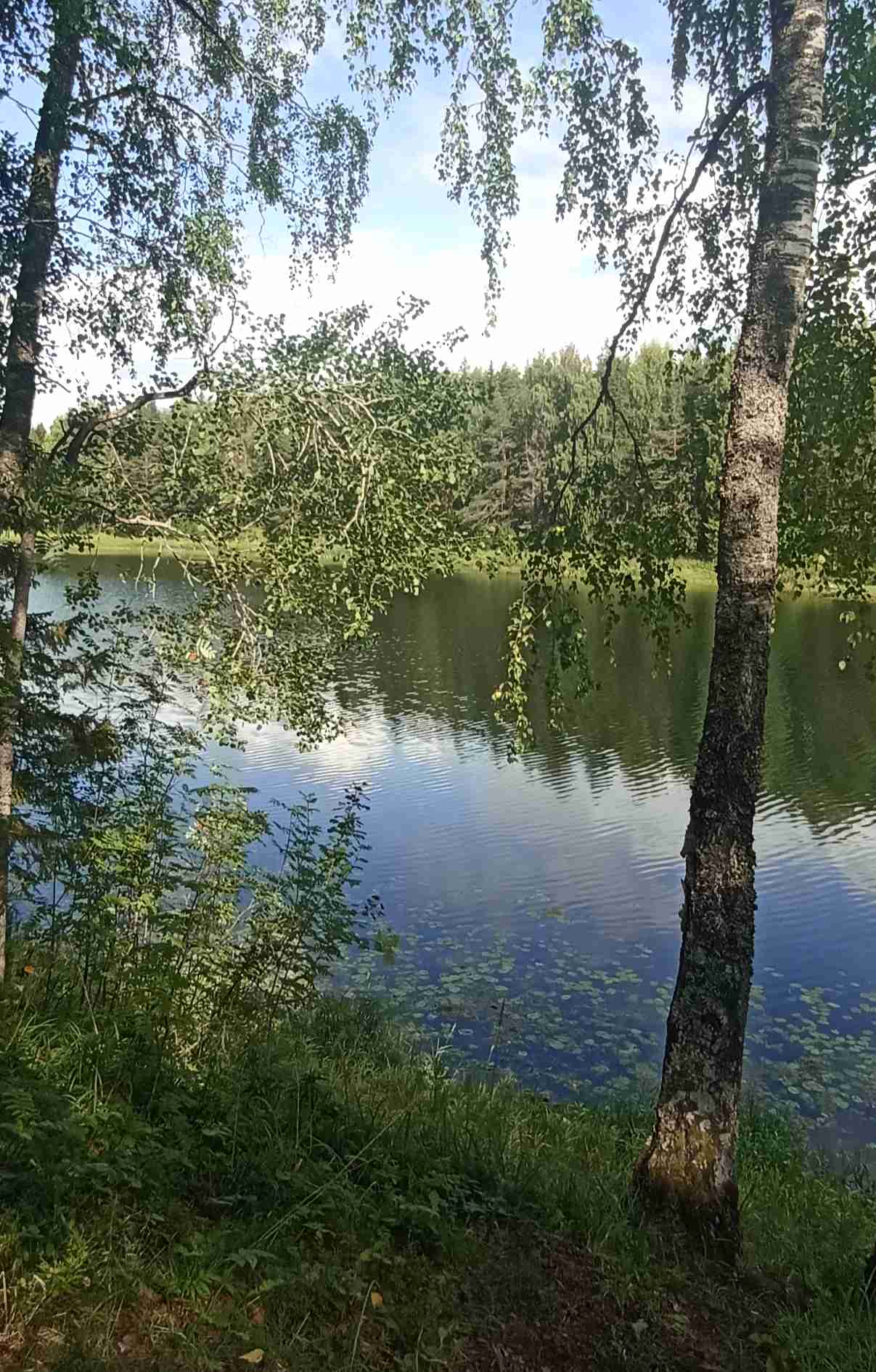 берег.jpg