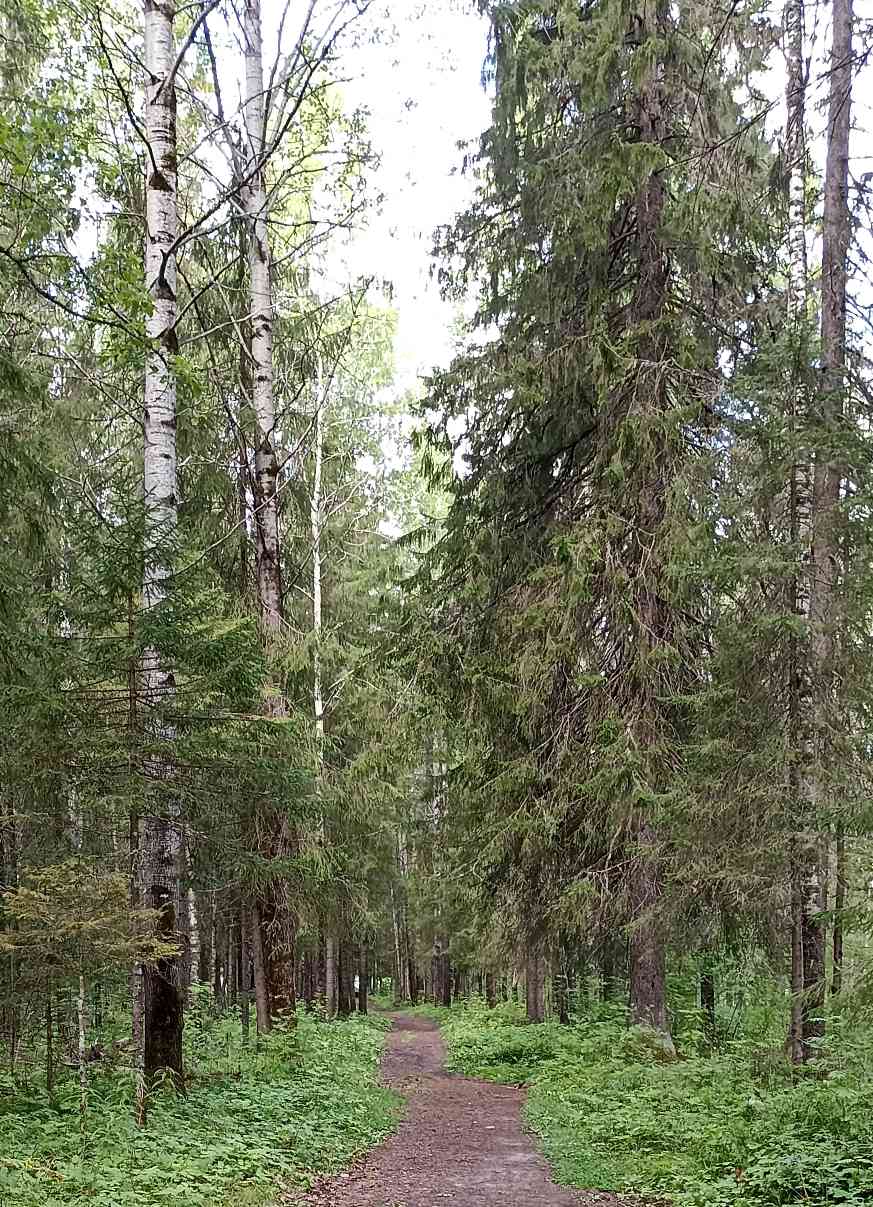 тропа.jpg
