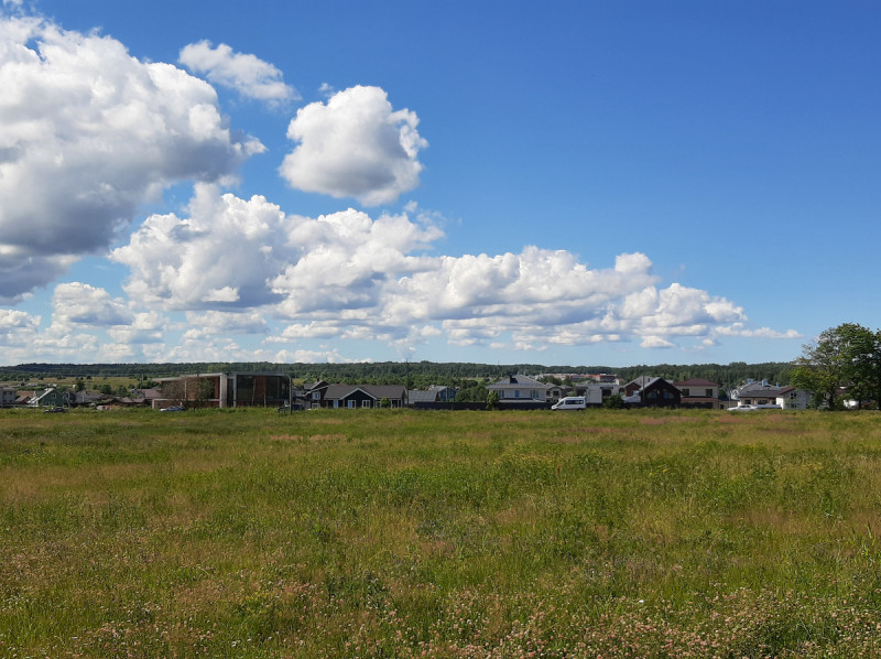 1447806_800.jpg