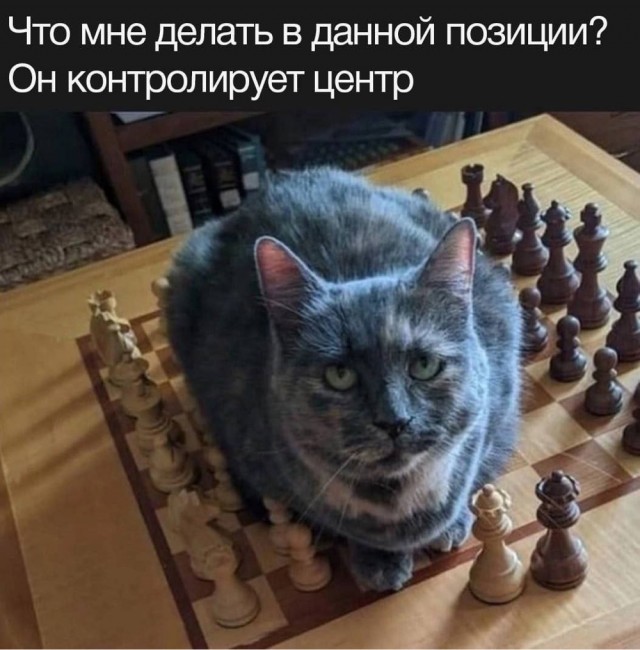 20794783.jpg