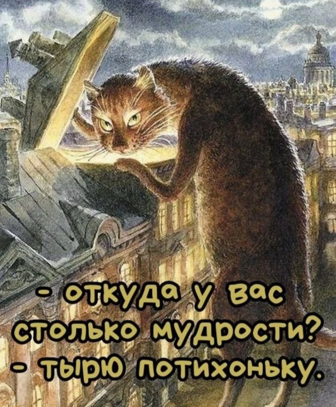 692e66d51957f18cbf40687f944f6af9.jpg