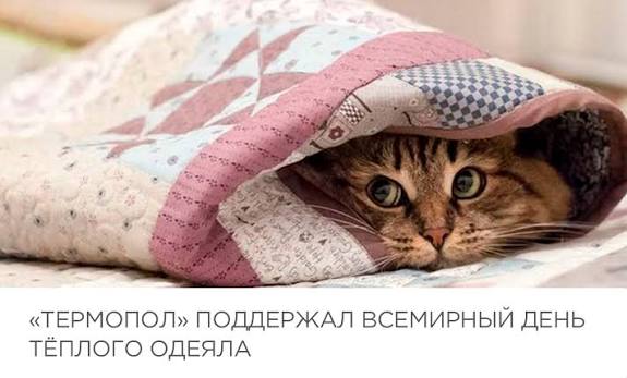 images (1).jpeg