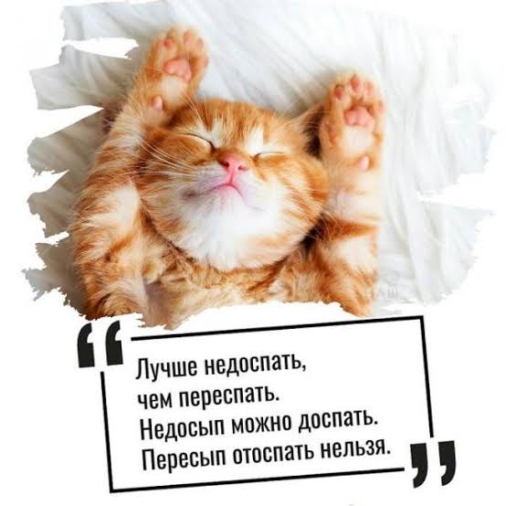 images (1).jpeg