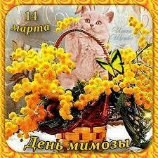 images (4).jpeg