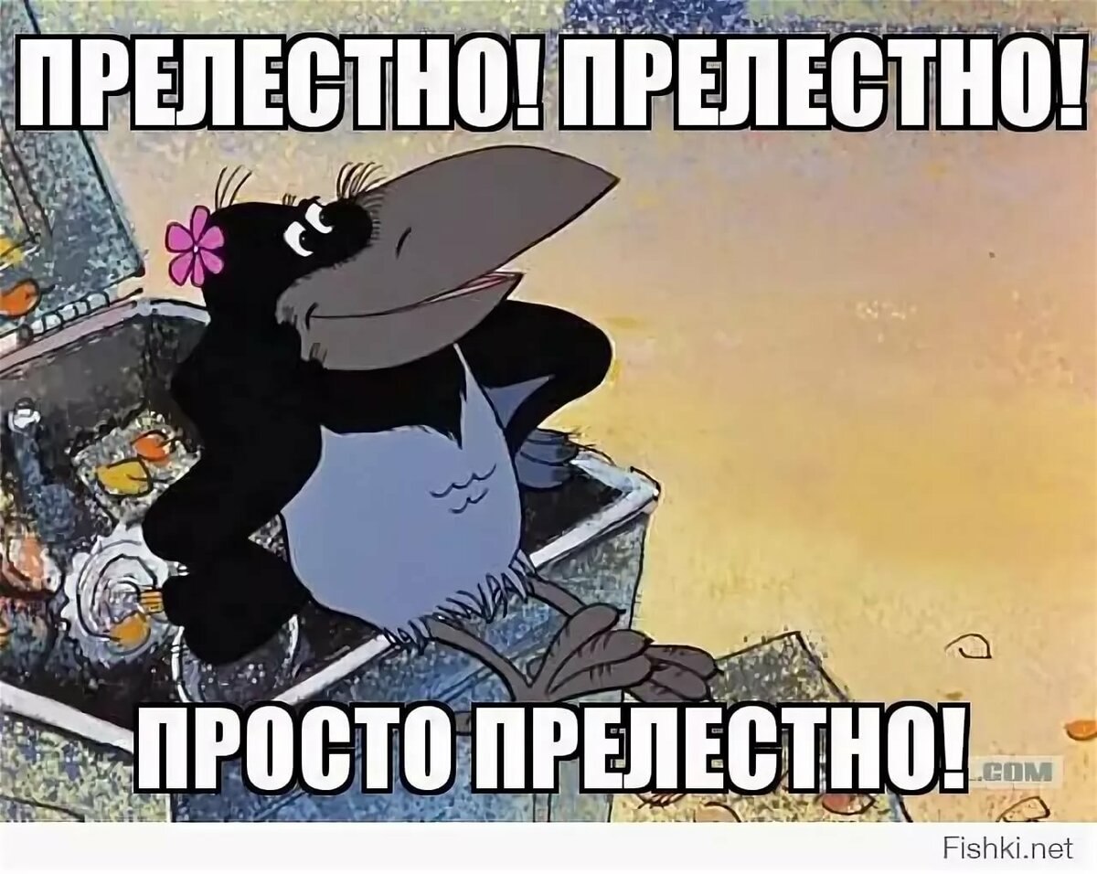 1672819385_2-poknok-art-p-foto-voroni-prelestno-2.jpg