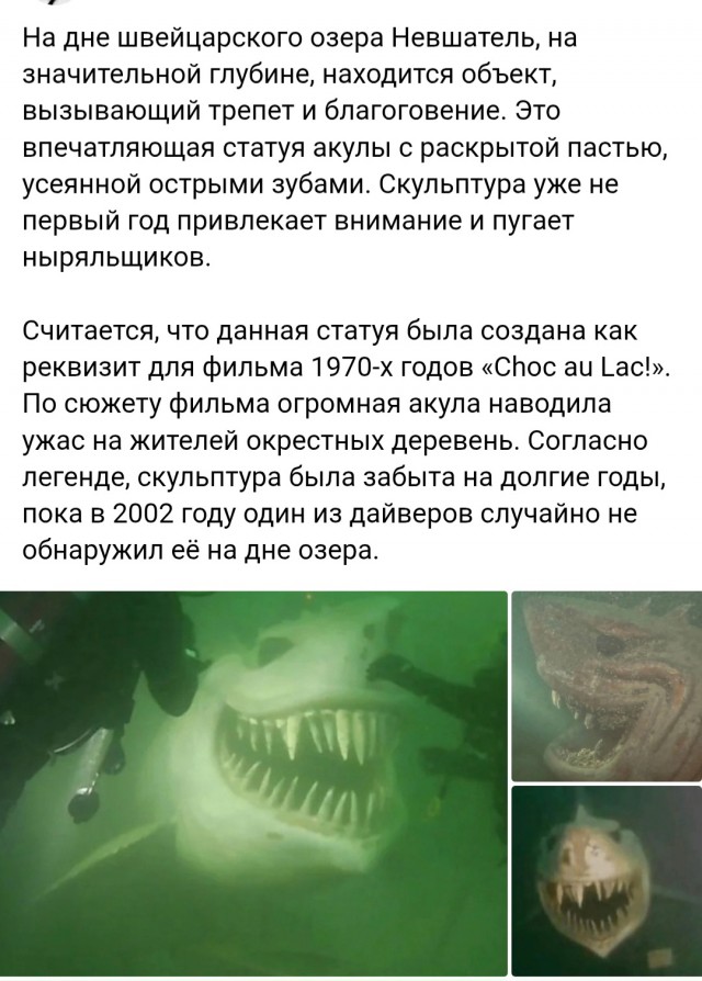 20856904.jpg