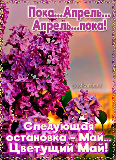 images (3).jpeg