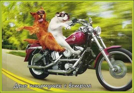 images (5).jpeg