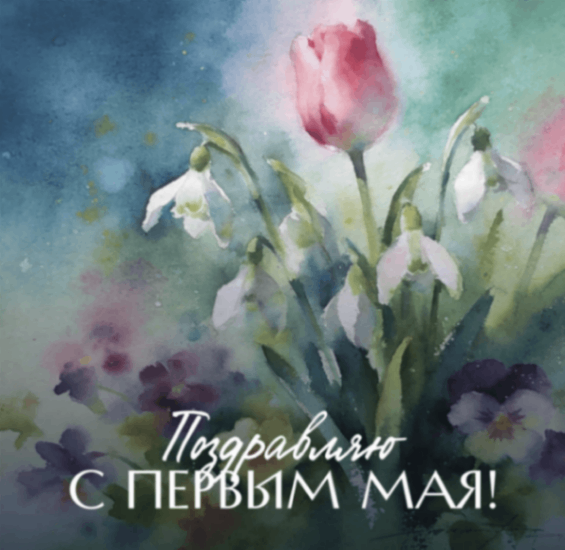 11zon_cropped (2) (1).png