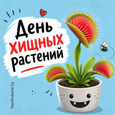 images (3).jpeg