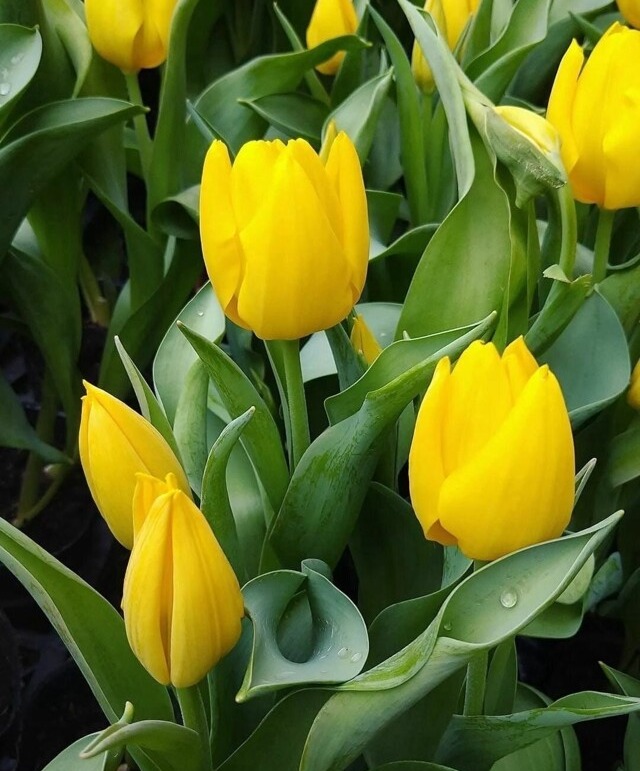 11zon_cropped (10).jpeg
