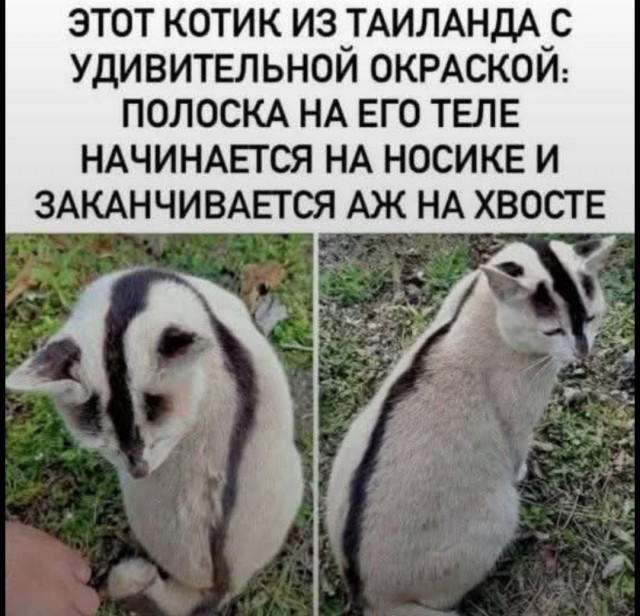 20981575.jpg