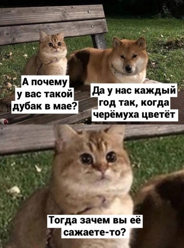 20981210.jpg