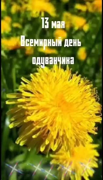 images (3).jpeg