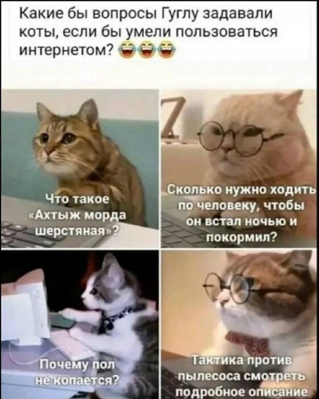 20993663.jpg