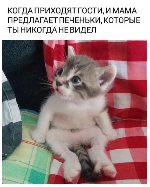 20997689.jpg