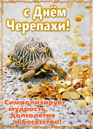 images (1).jpeg