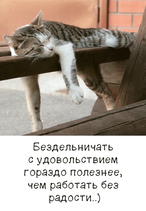 20951381.jpg