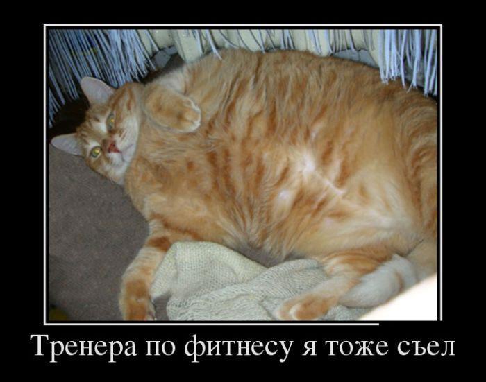 54a0c87f6a0848e6925a0f4522d910c3.jpg