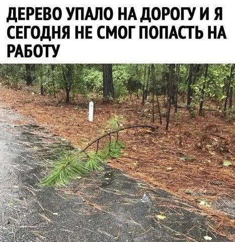 21023323.jpg