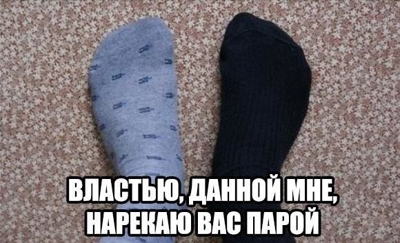 21023365.jpg