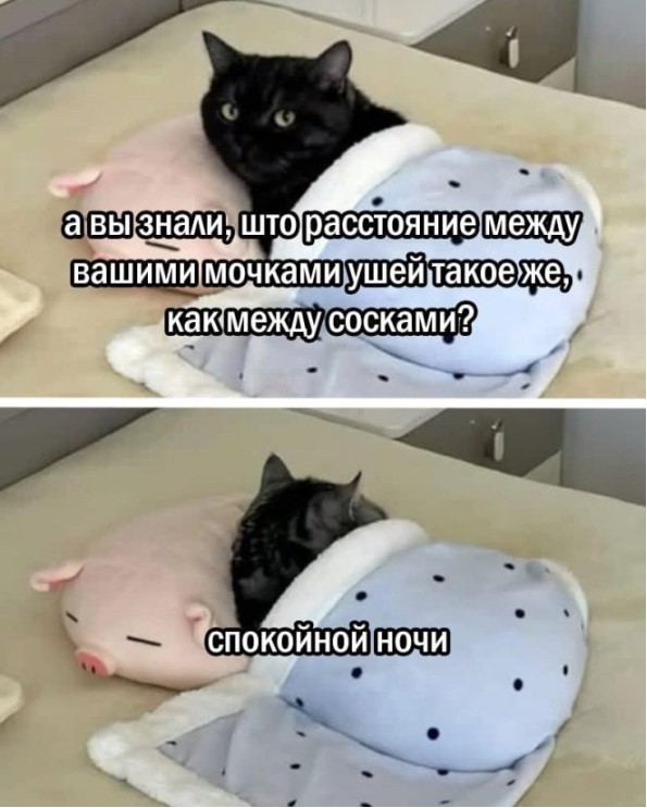 21040430.jpg