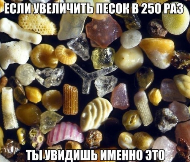 21040435.jpg