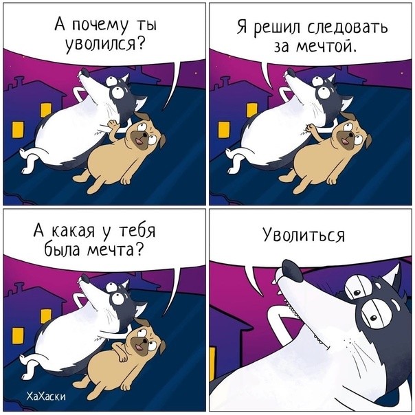 21040652.jpg