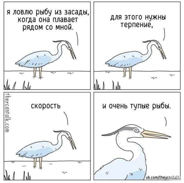 21040660.jpg