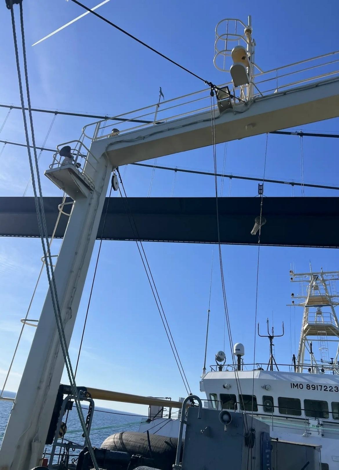 11zon_cropped (8) (1).jpeg