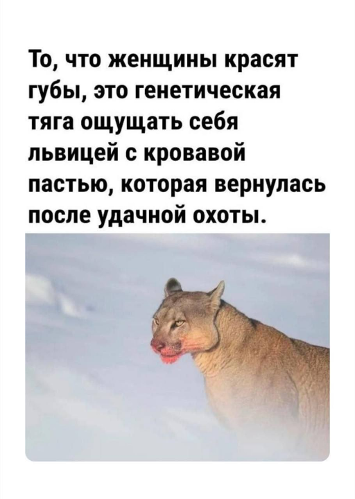 scale_1200.png