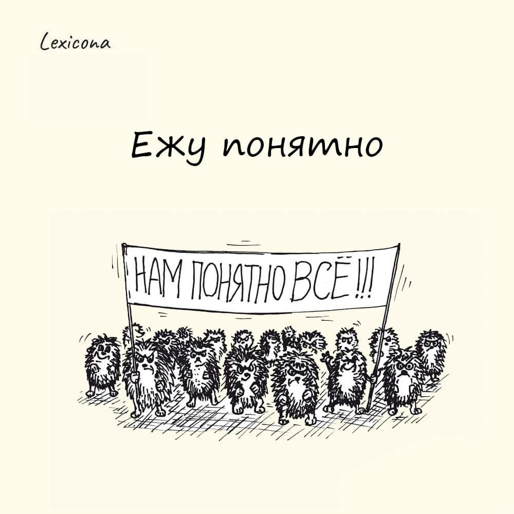 2521121_original.jpg