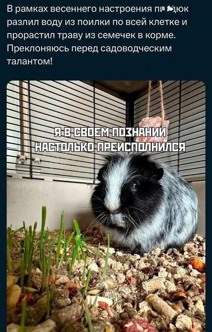 11zon_cropped (6).jpeg