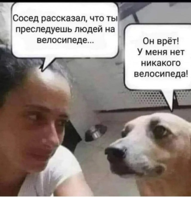 21040686.jpg