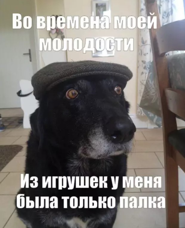 21043231.jpg