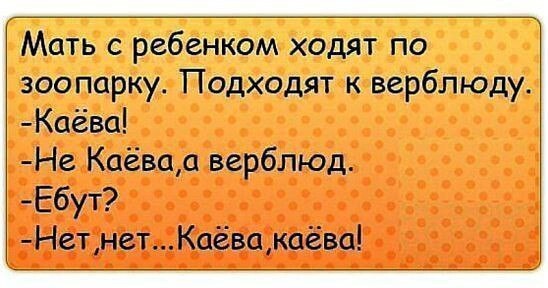 21051065.jpg