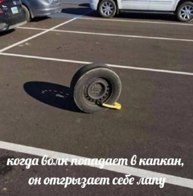 21046585.jpg